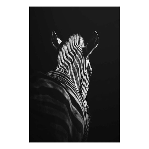 Quadro in vetro - Scuro silhouette zebra - Verticale 2:3
