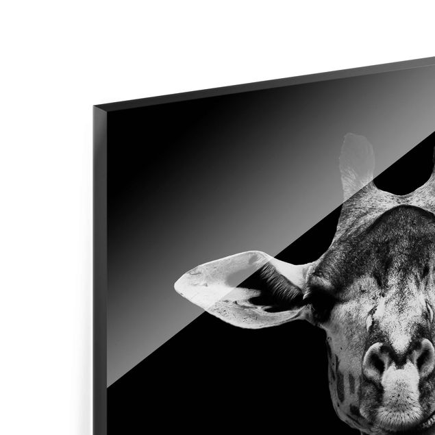 Quadro in vetro - Scuro Giraffe Portrait - Verticale 2:3