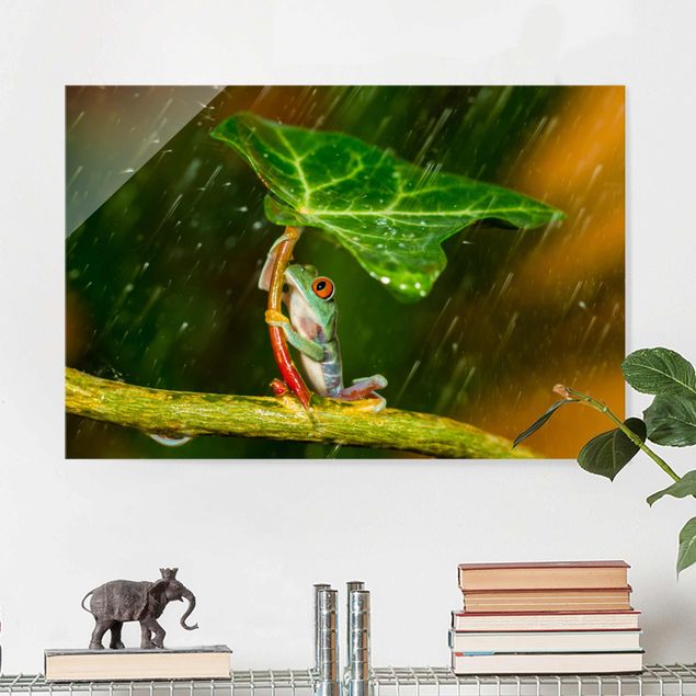 quadri con animali Rana sotto la pioggia