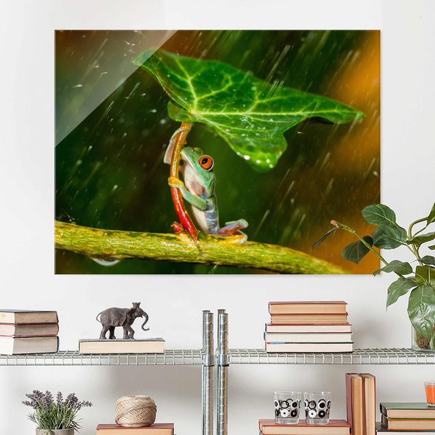 quadri con animali Rana sotto la pioggia