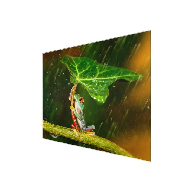 Quadro in vetro - Rana In The Rain - Large 3:4