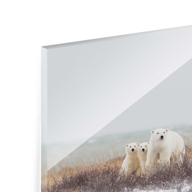 Quadro in vetro - Orso polare e suoi cuccioli - Orizzontale 3:2