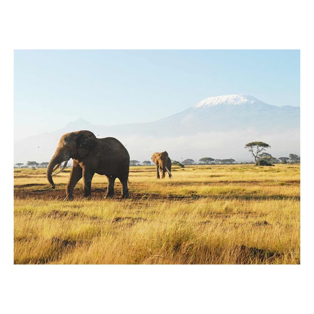 Quadro su vetro Africa- Elephants before Kilimanjaro in Kenya - Orizzontale 3:2