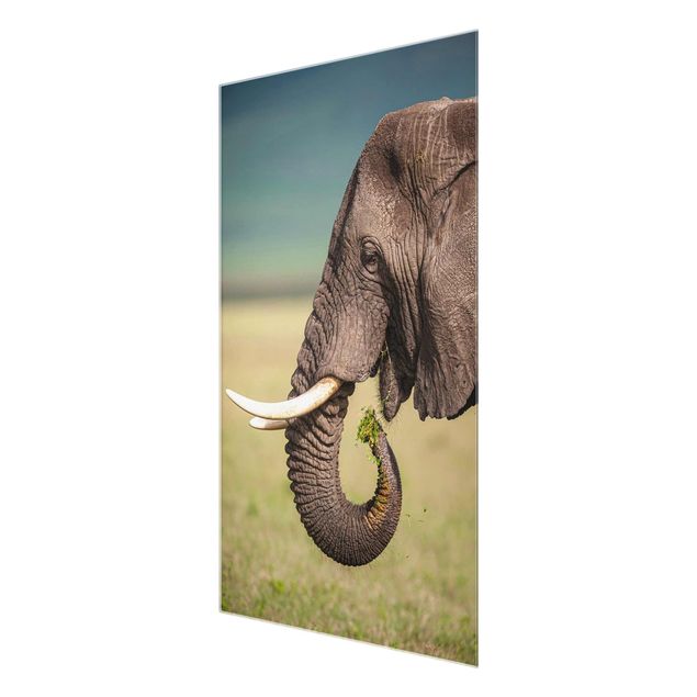 Quadro in vetro - Elefanti alimentazione a Africa - Verticale 2:3