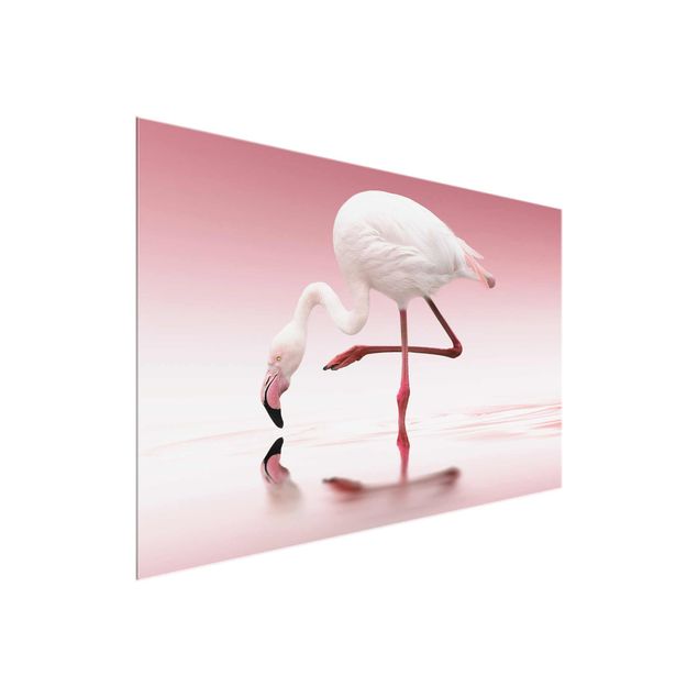 Quadro in vetro - Flamingo Dance - Orizzontale 3:2