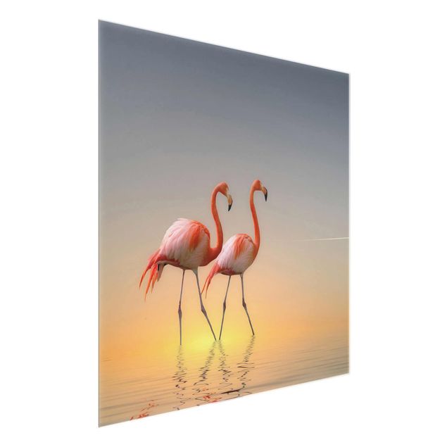 Quadro in vetro - Flamingo Love - Quadrato 1:1