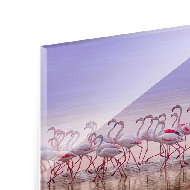 Quadro in vetro - Flamingo partito - Orizzontale 3:2