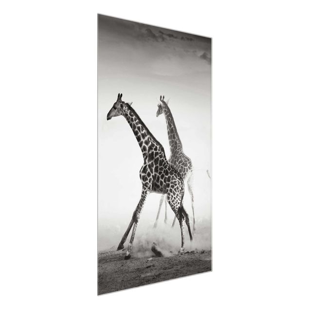 Quadro in vetro - Giraffe hunting - Verticale 2:3