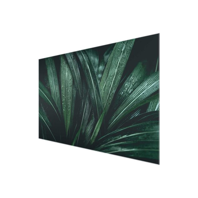 Quadro in vetro - Green Palm Leaves - Orizzontale 3:2