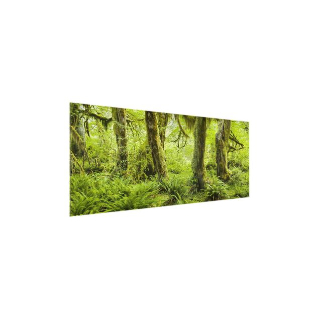 Quadro in vetro - Hall Of Mosses Olympic National Park - Panoramico