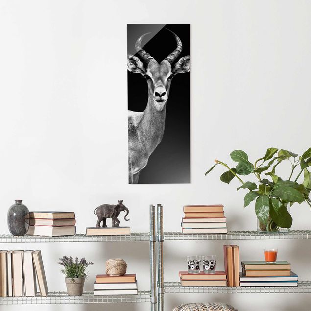 Lavagna magnetica vetro Antilope Impala bianco e nero