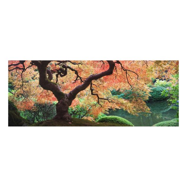 Quadro in vetro alberi - Giardino giapponese - Panoramico