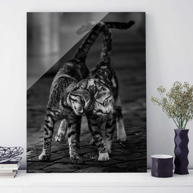 quadri con animali Amicizia tra gatti