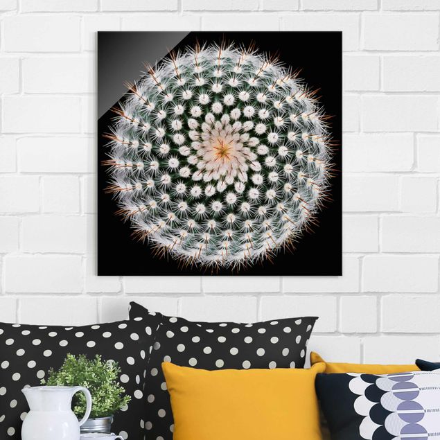 Lavagna magnetica vetro Fiore di cactus