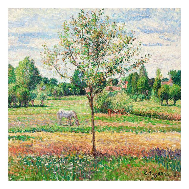Quadro in vetro - Camille Pissarro - Prato con Cavallo grigio, Eragny - Impressionismo - Quadrato 1:1