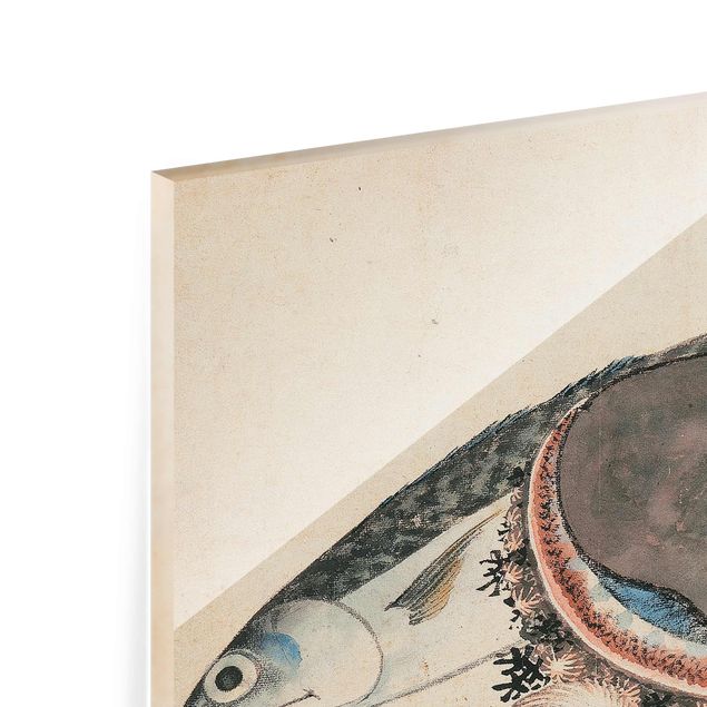Quadro in vetro - Katsushika Hokusai - Mackerel and Sea Shells - Orizzontale 3:2