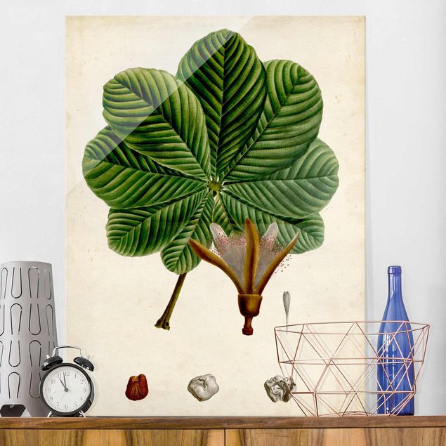 Lavagna magnetica vetro Poster con piante caducifoglie II