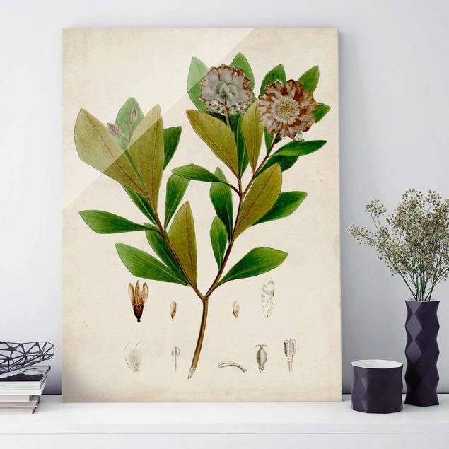 Lavagna magnetica vetro Poster con piante caducifoglie V