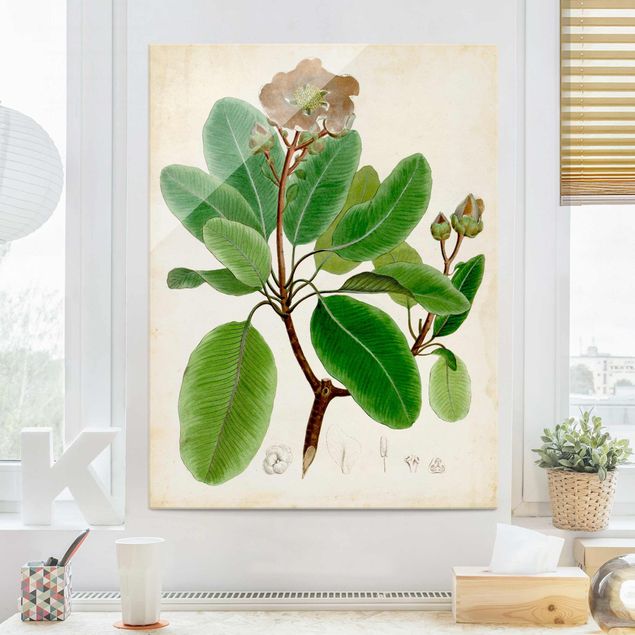 Lavagna magnetica vetro Poster con piante caducifoglie VI