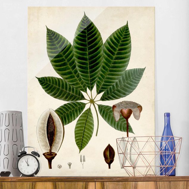 Lavagna magnetica vetro Poster con piante caducifoglie VII