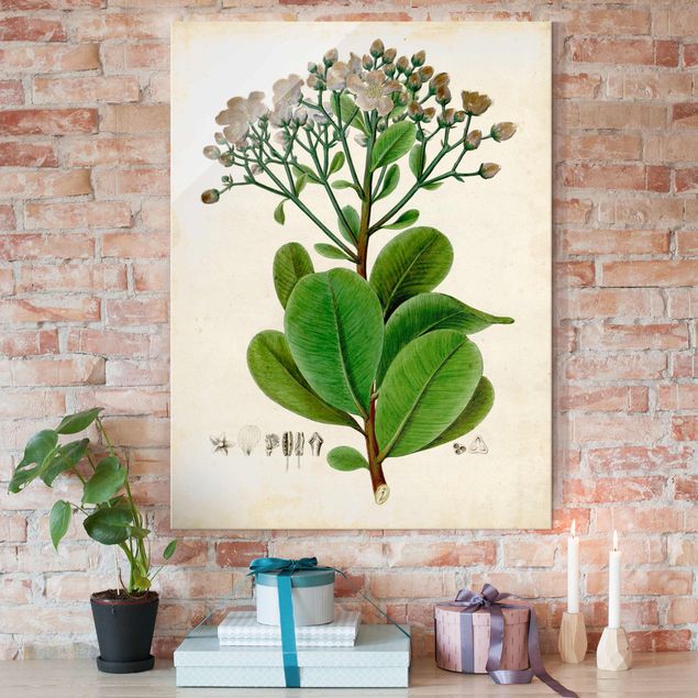 Lavagna magnetica in vetro Poster con piante caducifoglie VIII