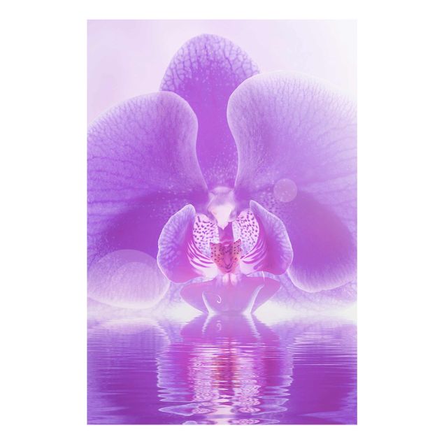 Quadro in vetro - Purple Orchid on water - Verticale 2:3