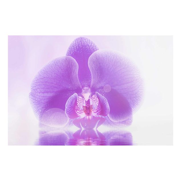 Quadro su vetro - Purple Orchid on water - Orizzontale 3:2