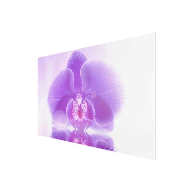 Quadro su vetro - Purple Orchid on water - Orizzontale 3:2