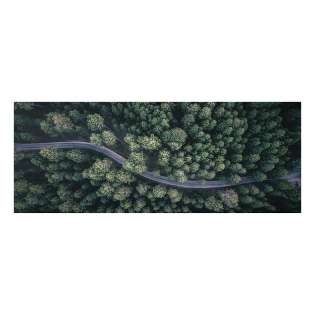 Quadro in vetro - Veduta aerea - Forest Road From The Top - Panoramico