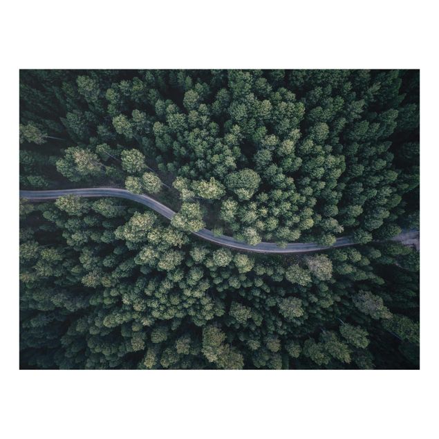 Quadro in vetro - Veduta aerea - Forest Road From The Top - Large 3:4