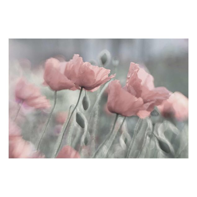 Quadro in vetro - Painterly Poppies - Orizzontale 3:2