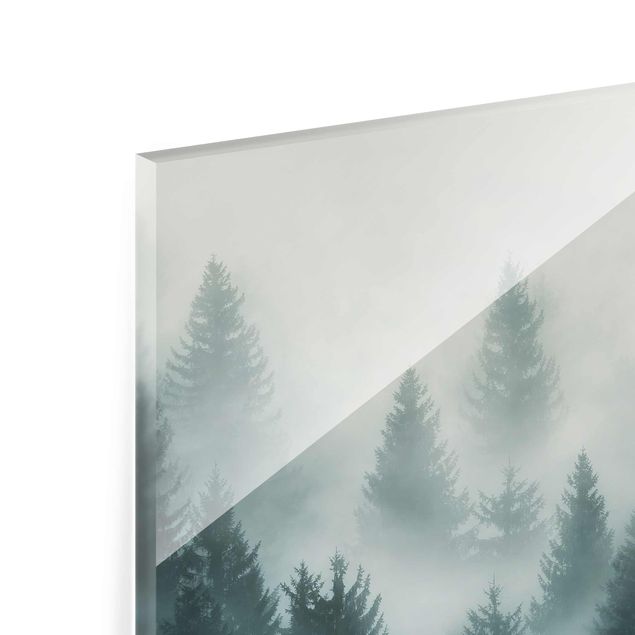 Quadro in vetro - Coniferous Forest In Fog - Orizzontale 3:2