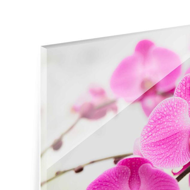 Quadro in vetro - Close up Orchid - Orizzontale 3:2