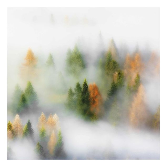 Quadro in vetro - Nube di foresta in autunno - Quadrato 1:1