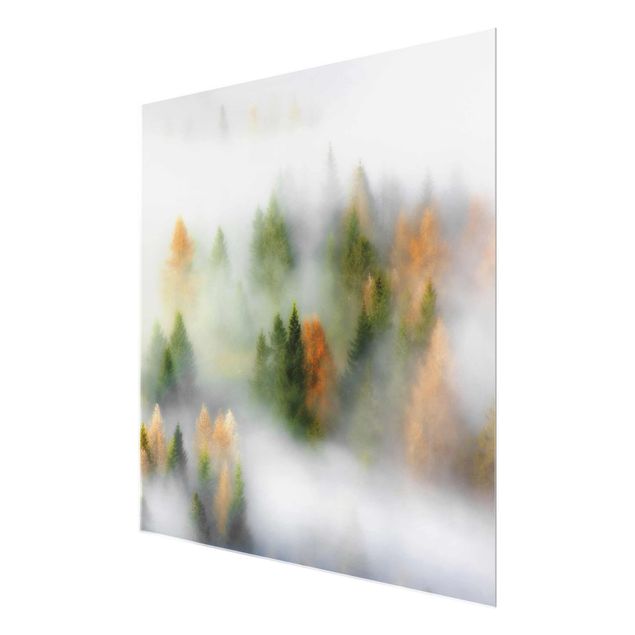 Quadro in vetro - Nube di foresta in autunno - Quadrato 1:1