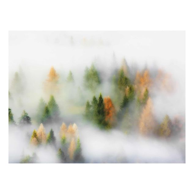 Quadro in vetro - Nube di foresta in autunno - Large 3:4
