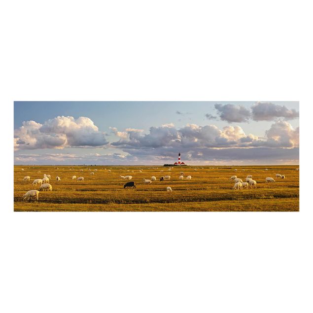 Quadro in vetro - North Sea Lighthouse with sheep flock - Panoramico