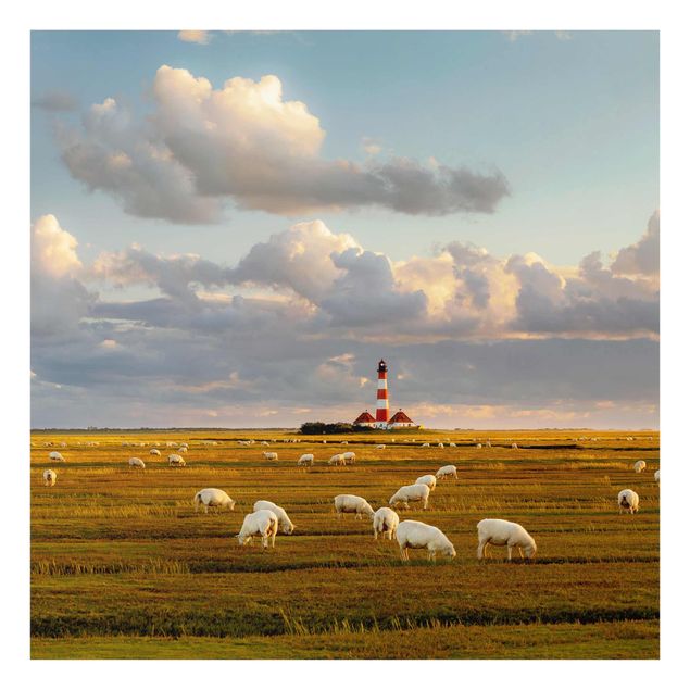 Quadro in vetro - Sea Lighthouse with sheep flock - Quadrato 1:1