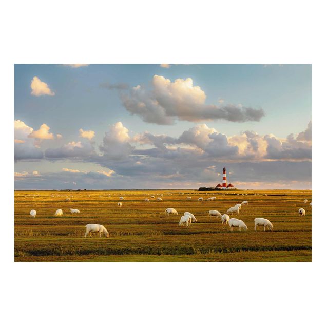 Quadro in vetro - North Sea Lighthouse with sheep flock - Orizzontale 3:2