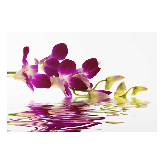 Quadro in vetro - Pink Orchid Waters - Orizzontale 3:2