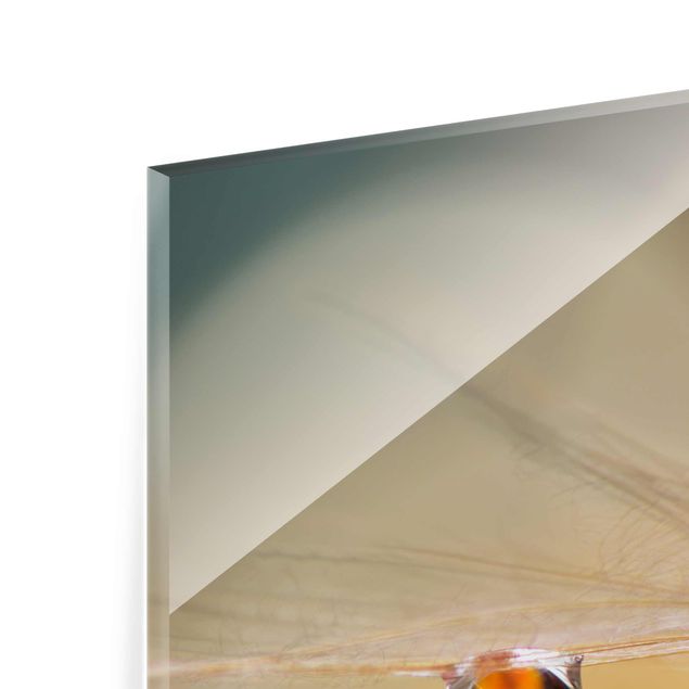 Quadro in vetro - Dente di Leone in Arancione - Quadrato 1:1