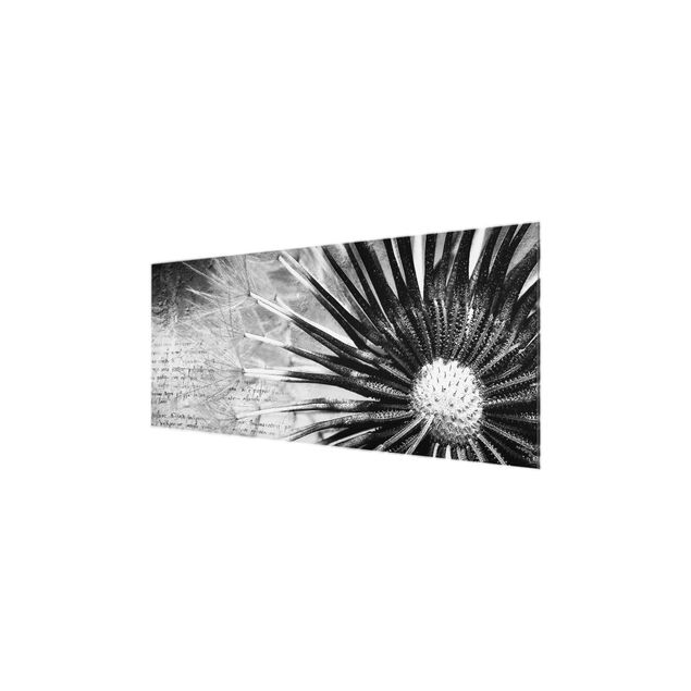 Quadro in vetro - Dandelion Black & White - Panoramico