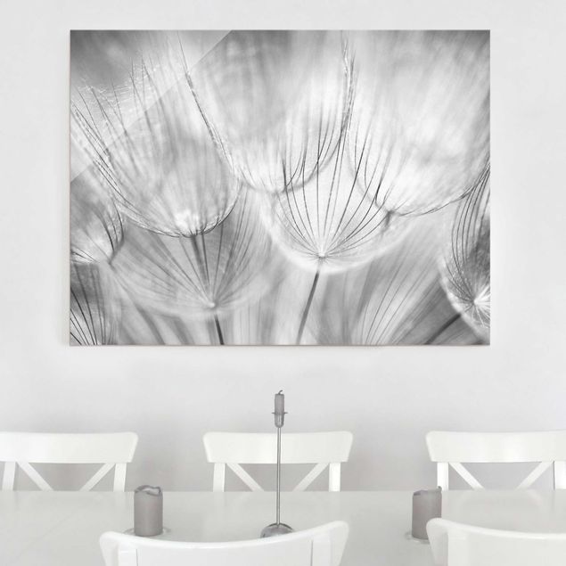 Lavagna magnetica in vetro Dandelions macro shot in black and white