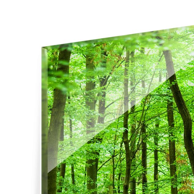 Quadro in vetro - Romantic Forest Track - Verticale 2:3