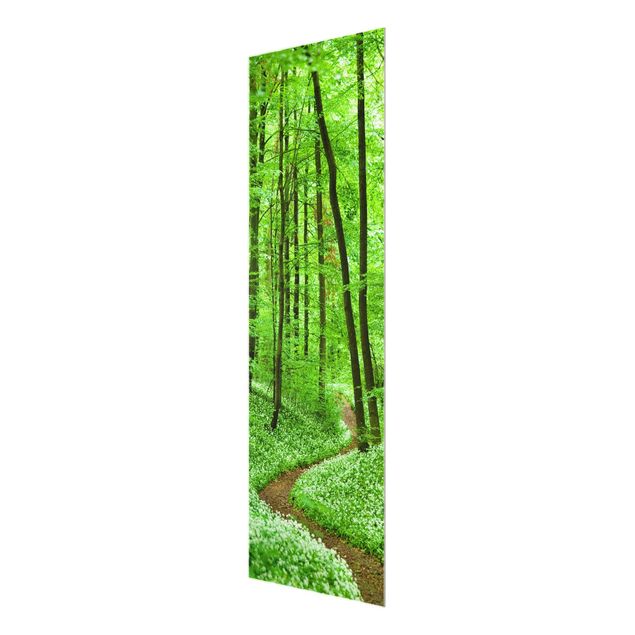 Quadro in vetro - Romantic Forest Track - Pannello