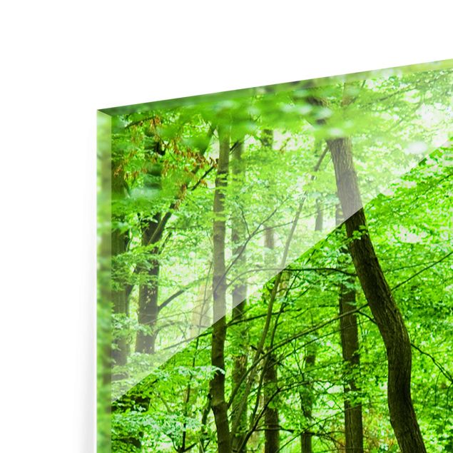 Quadro in vetro - Romantic Forest Track - Pannello