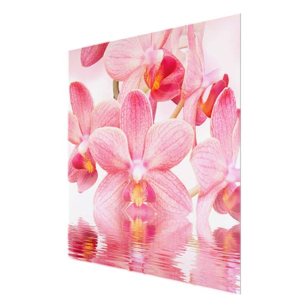 Quadro in vetro - Pink Orchid on water - Quadrato 1:1
