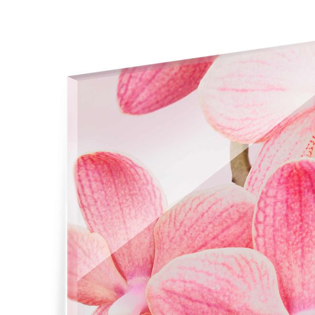 Quadro in vetro - Pink Orchid on water - Quadrato 1:1