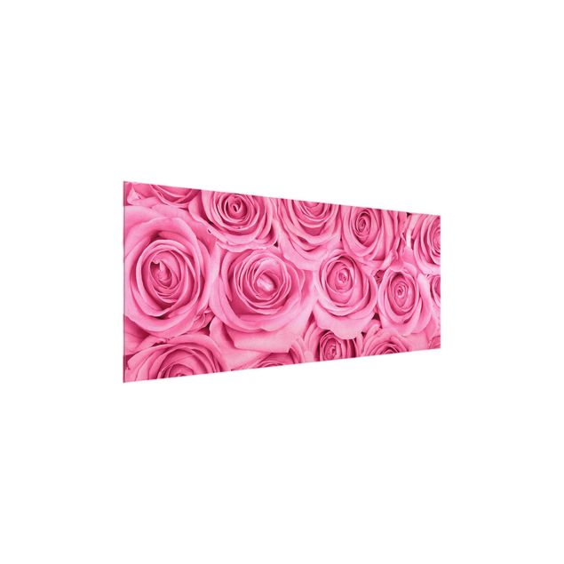 Quadro in vetro - Pink Roses - Panoramico