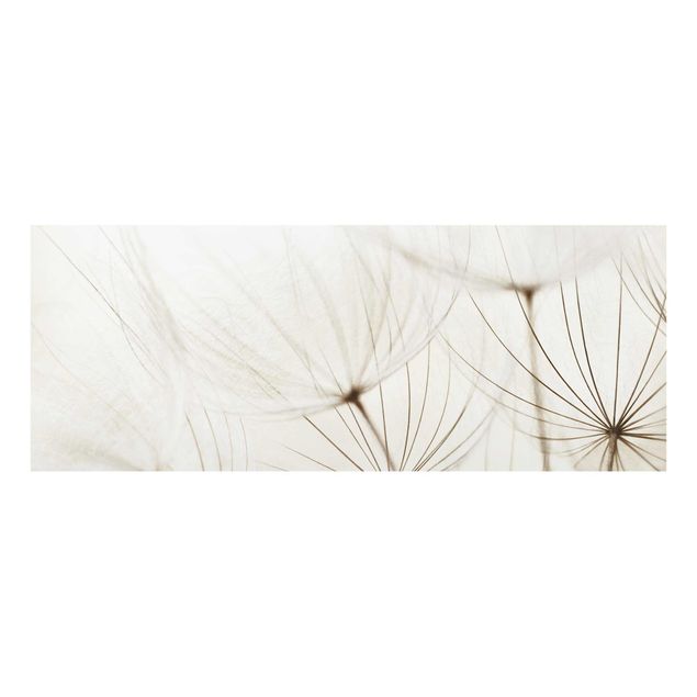 Quadro in vetro - Gentle Grasses - Panoramico